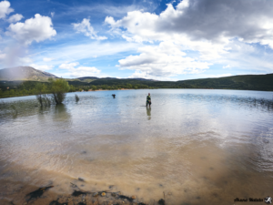 testing swimrun swirmunman