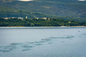 Resultats-Swimrunman-Gorges-du-Verdon-2018